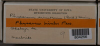 Image Associated With the Occurence